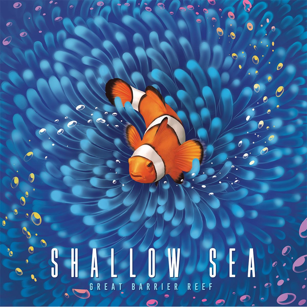 Shallow Sea (Preorder)