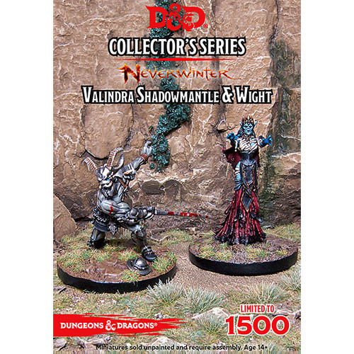 D&D Collector's Series: Valindra Shadowmantle & Wight (2)