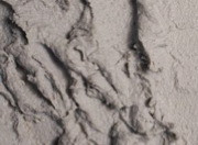 Vallejo Stone Texture: Grey Pumice (200ml)