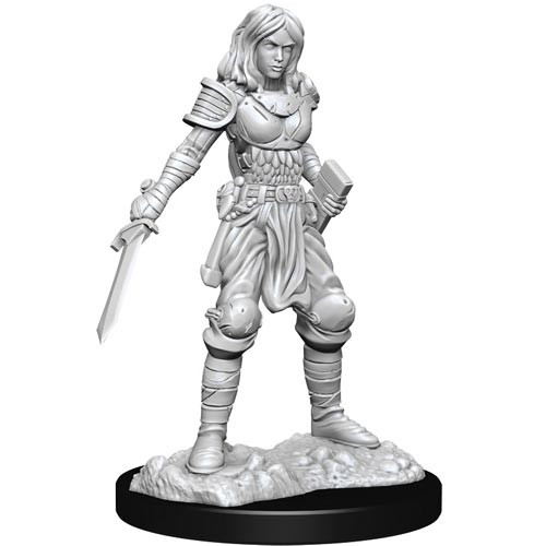 Valerie, Human Fighter x3 - Kingmaker #36 Pathfinder Battles D&D Miniature