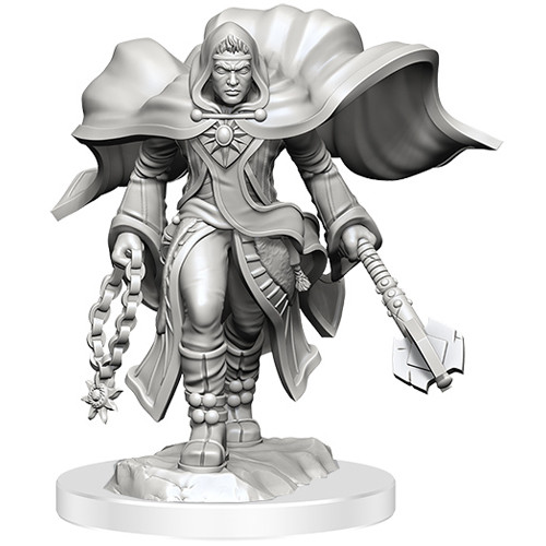 D&D Nolzur's Marvelous Unpainted Minis: W20 Male Aasimar Cleric, Tabletop  Miniatures