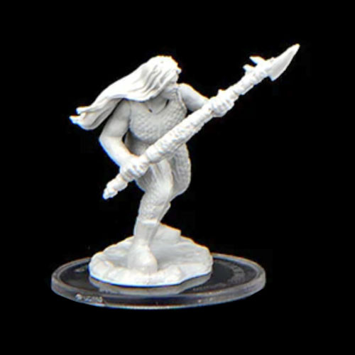 Critical Role Unpainted Miniatures: W2 Ashari Waverider & Octopus ...