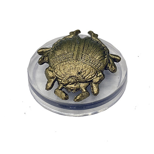 Fizban's Treasury of Dragons #05 Hoard Scarab (C)