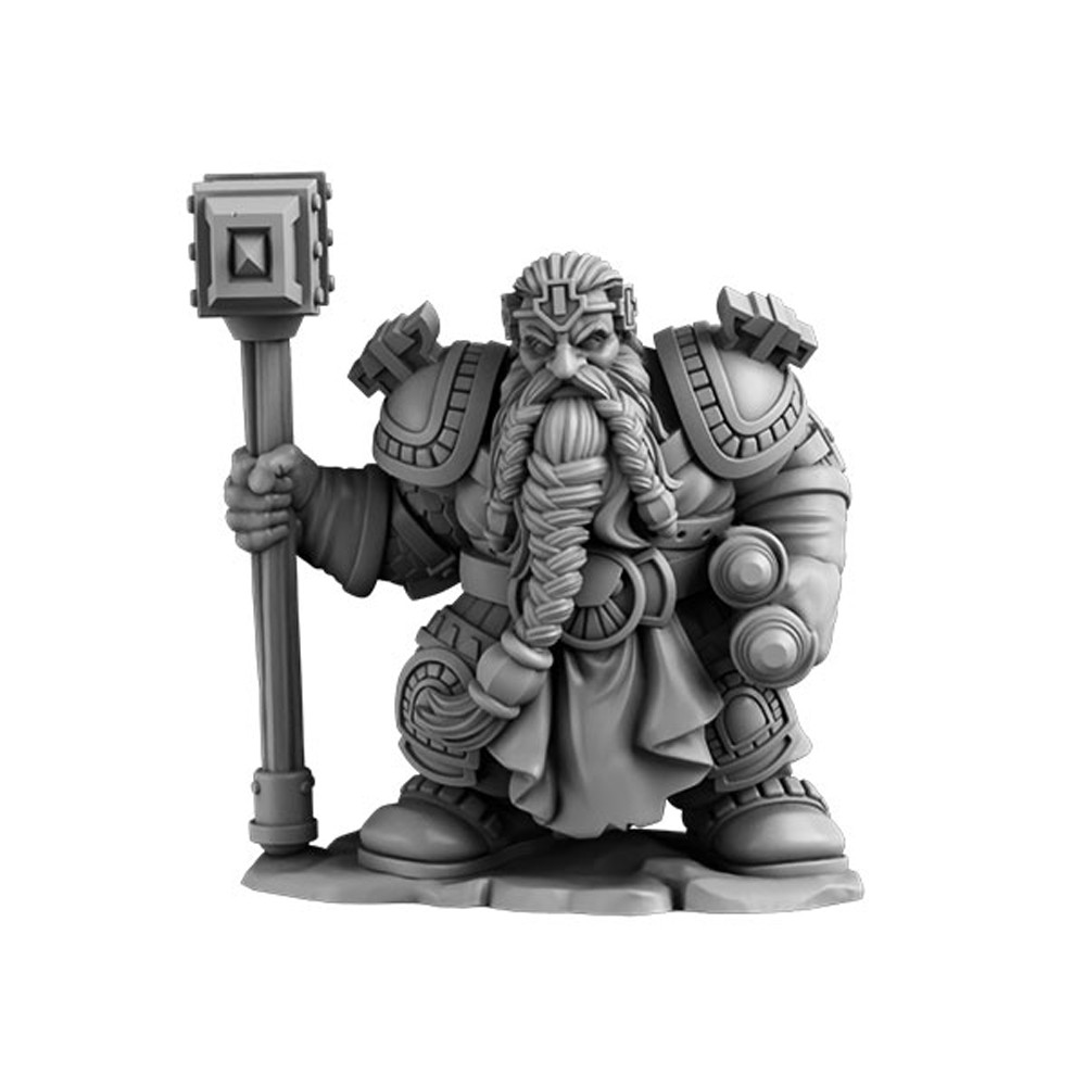 Next Level Miniatures: Dwarf Paladin