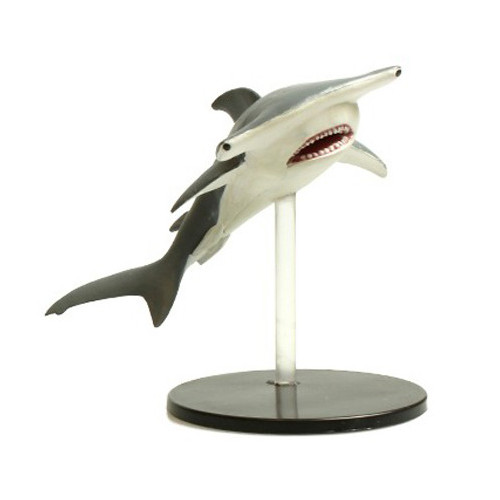 Skull & Shackles #33 Hammerhead Shark (U)