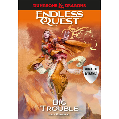 D&D Endless Quest: Big Trouble (Hardcover)