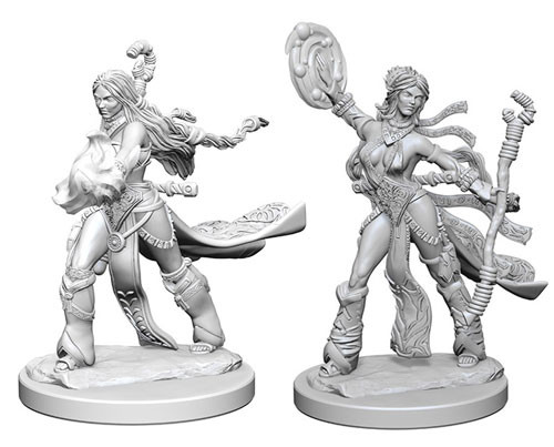 Pathfinder Battles Deep Cuts Unpainted Minis: W1 Female Human Sorcerer