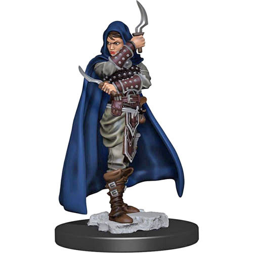 Pathfinder Battles Premium Painted Figure: W1 Female Human Rogue