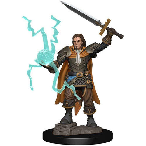 W1 Human Rogue Male Game for sale online Pathfinder Battles Premium Painted Figure