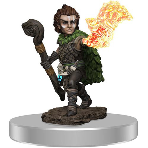 Pathfinder Battles Premium Painted Figure: W3 Male Gnome Druid
