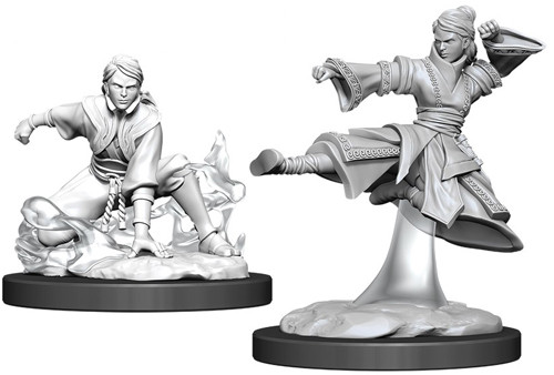 D&D Nolzur's Marvelous Unpainted Minis: W11 Female Human Monk