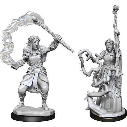 Featured image of post The Best 25 Firbolg Female Dnd