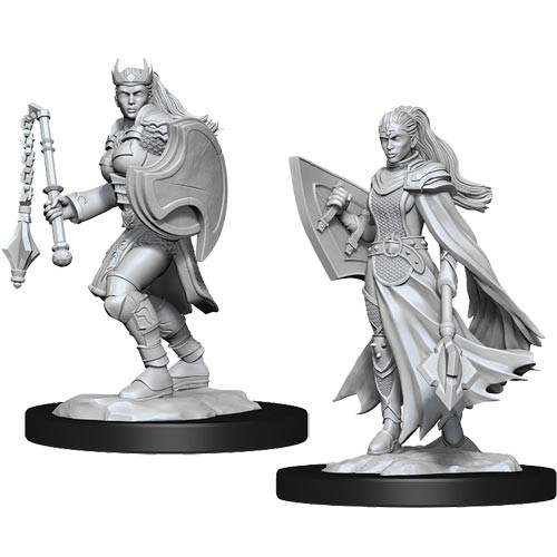 D&D Nolzur's Marvelous Miniatures: Changeling Cleric (90237) - Unpaint –  Gnomish Bazaar