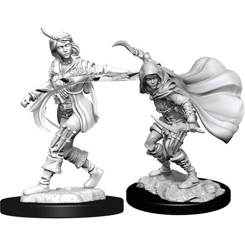 Pathfinder Deep Cuts Unpainted Miniatures W1 Human Female Fighter for sale online 