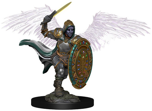 d&d premium painted miniature