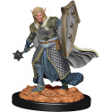 D&D Premium Painted Figure: W2 Male Elf Cleric