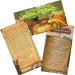 Unlock! Mystic Adventures
