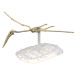 Jurassic World Model Kit: Plannosaurus - Quetzalcoatlus