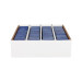 BCW 3,200-Count Monster Storage Box