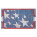 Binho Classic: United States Edition