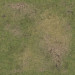 Battle Systems Gaming Mat: Grassy Fields v.2 (2x2)
