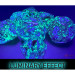 Mega-Hedrals Set: Nebula Luminary - Nocturnal/Blue (7)