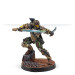 Infinity: Haqqislam - Hassassin Expansion Pack Alpha