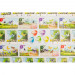 The Butterfly Garden (2nd Ed)