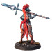 Eldfall Chronicles: Reinforcements Pack - Wayfarers
