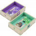 Box Insert Color: Bitoku