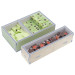 Box Insert Color: Fox Experiment