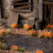 Gamers Grass Tufts: Orange Flowers - Wild 6mm