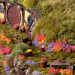 Gamers Grass Tufts: Garden Flowers Set - Wild