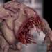 Dirty Down: Gore Effect (15ml)
