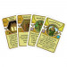 Agricola: Consul Dirigens Deck Expansion