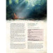 Solasta RPG: Campaign Rulebook (D&D 5E Compatible)
