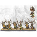 Conquest: Sorcerer Kings - Dhanur Disciples