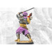 Conquest: Sorcerer Kings - Raj