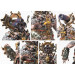 Conquest: Dweghom - Found Dual Kit