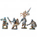 Conquest: Wadrhun - Veterans