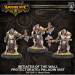 Warmachine: Protectorate - Initiates of the Wall (3)