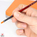Redgrass: Dry brush