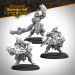 Warmachine: Orgoth Sea Raiders Core Expansion