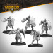 Warmachine: Orgoth Sea Raiders Core Expansion
