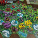 Aldarra: Savage Skies