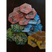 Apiary: Expanding the Hive Expansion