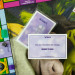 Monopoly: Shrek