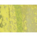 Game Color: Special FX - Moss & Lichen (18ml)