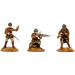 The Great War: French Infantry 1916-1940