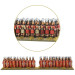 Hail Caesar Epic Battles: Punic Wars - Republican Roman Division